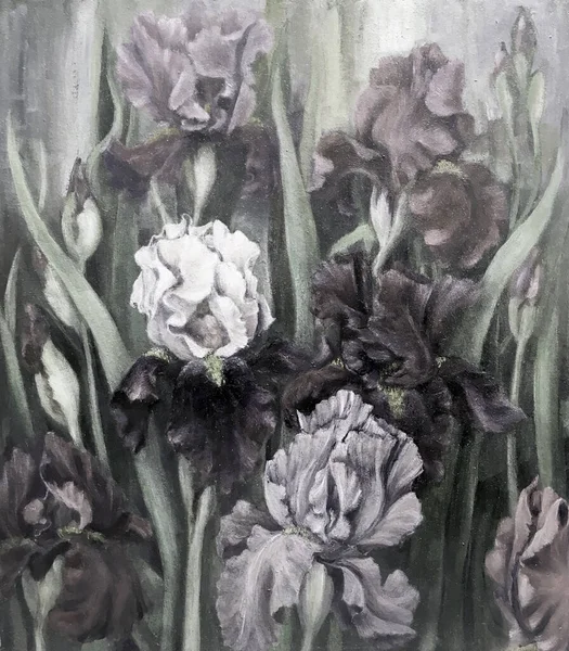 Blommande Iris Trädgården Oljemålning Stilisering Monokrom — Stockfoto