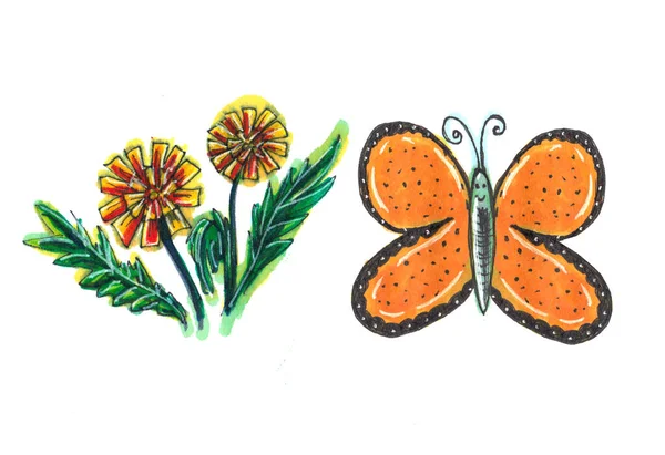  Colorful butterfly in beautiful style on white background. Floral background.