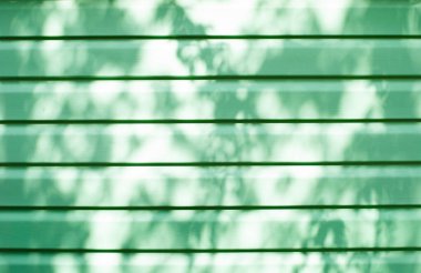 Güneşli bir günde üzerinde ağaçların gölgeleri olan nane yeşili yatay cins tahta duvarlar. Gölge arkaplanı. Güzel model ya da doku