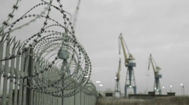 Arka planda Dikenli Teller Ön plan Turnaları 