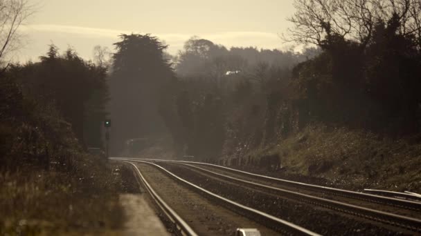 北アイルランドの曇り空の下 植物や木々に囲まれた列車の鉄道 ワイドショット — ストック動画