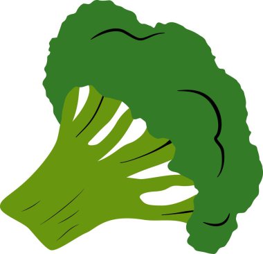 Çizgi filmdeki brokolinin vektör illüstrasyonu beyaz arkaplanda izole edilmiş basit düz biçim.