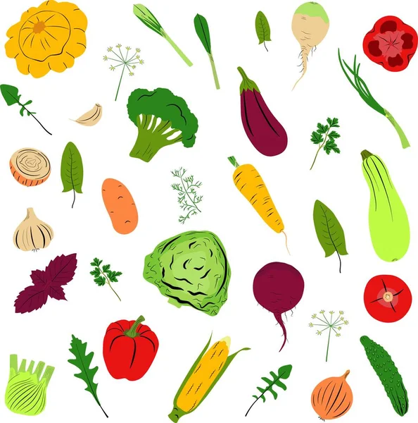 Set aus verschiedenen bunten Gemüse im handgezeichneten Doodle-Stil — Stockvektor