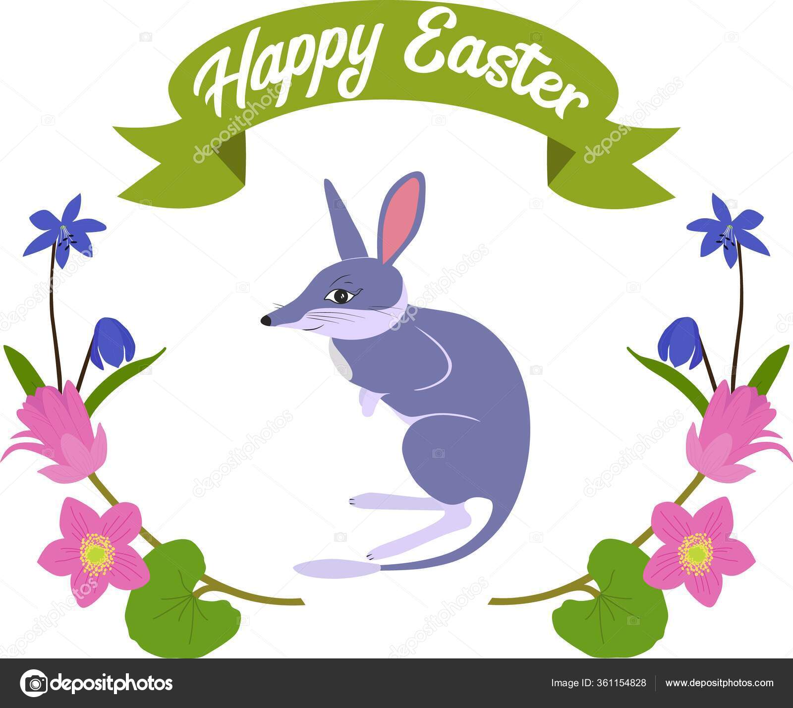 Poster Cute Little Easter Bilby Isolated White Background Great