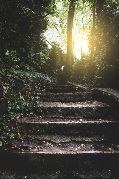 Escalera Piedra Bosque Hadas Hacia Amanecer — Foto de Stock