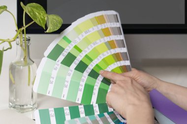 Grafik tasarımcısı, yaratıcı iş için palet rengi seçimi üzerinde çalışır