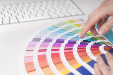 Grafik tasarımcısı, yaratıcı iş için palet rengi seçimi üzerinde çalışır