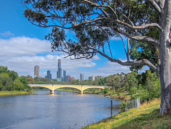 Yarra River and Melbourne City — Stock Photo, Image