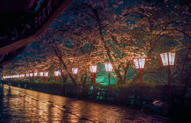 Gece kiraz çiçeği ve fenerler 