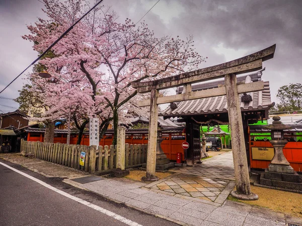 Japanse poorten met kersenbloesem. — Stockfoto
