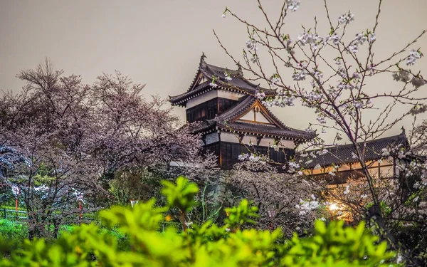 伝統的な日本の城と桜 — ストック写真
