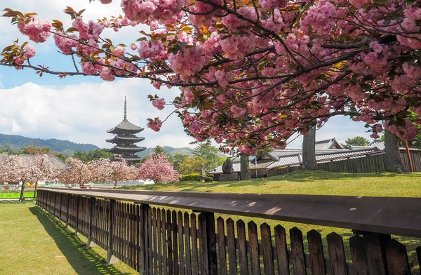 Japońska Pagoda z wiśniowych kwiatów. — Zdjęcie stockowe