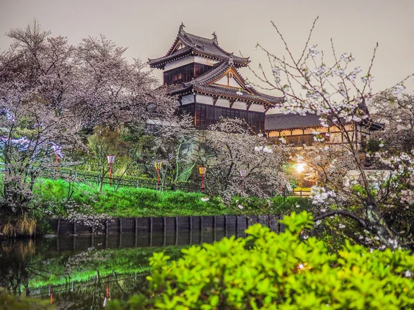 伝統的な日本の城と桜 — ストック写真