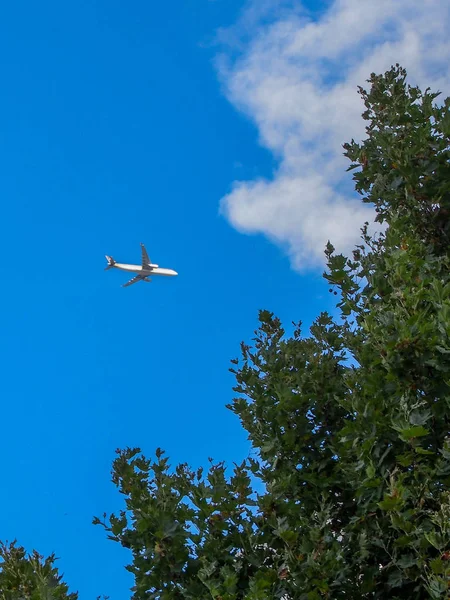 Vliegtuig vliegt over de groene bomen — Stockfoto