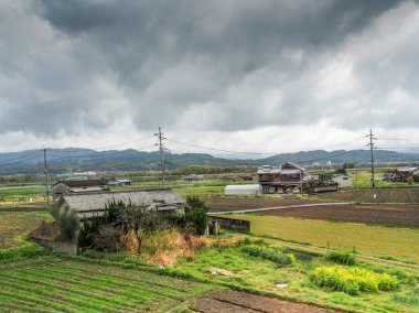Nara Japon tarım alanı