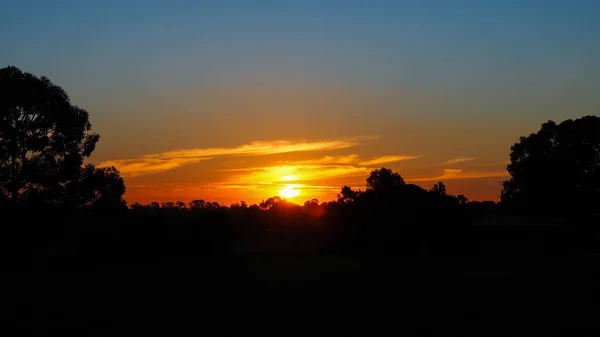 Árvore silhueta pôr do sol — Fotografia de Stock