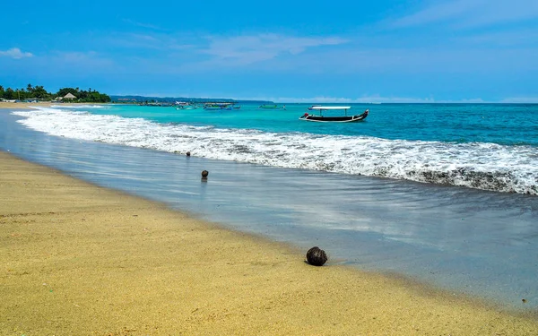 Coco en la playa —  Fotos de Stock