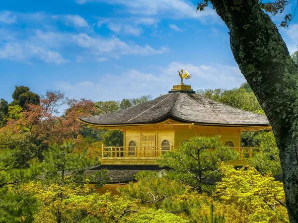 Kinkakuji Ναό στον κήπο — Φωτογραφία Αρχείου