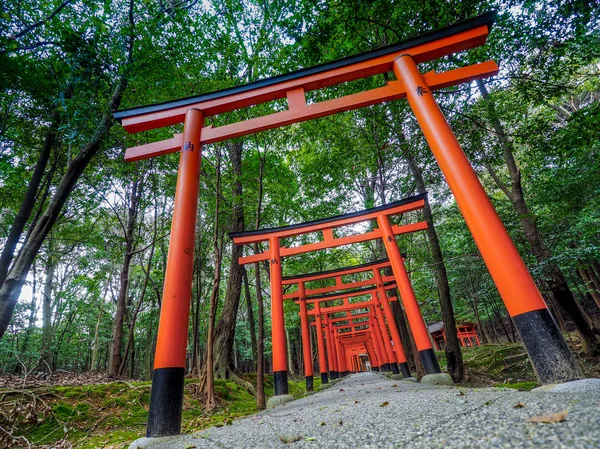 日本の赤い鳥門 — ストック写真