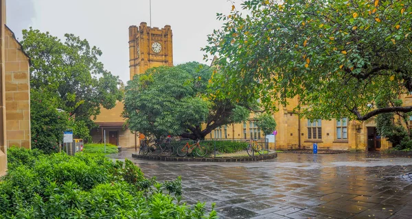 Melbourne Üniversitesi eski sanat Saat Kulesi ile