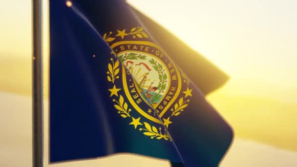 New Hampshire State Flag Waving Wind Sunset — Stock Video