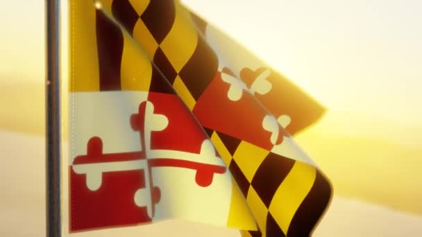 Bandeira Estado Maryland Acenando Com Vento Pôr Sol — Vídeo de Stock