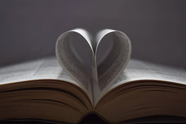Открытая Библия Формирующая Сердце Листьями Изолированными Сером Фоне — стоковое фото