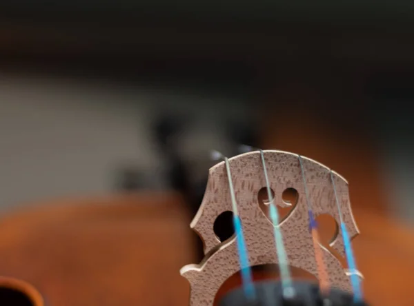 Bir orkestra için müzik çalan kahverengi bir çelloya köprü