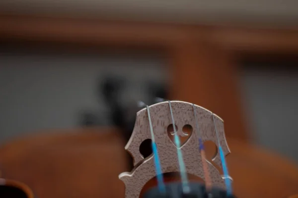 Brug Een Bruine Houten Cello Spelen Muziek Voor Een Orkest — Stockfoto