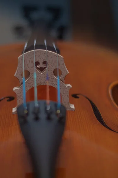 Bridge Brown Wooden Cello Playing Music Orchestra — Stock Photo, Image