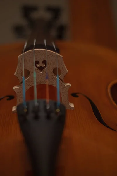 bridge a brown wooden cello playing music for an orchestra