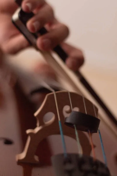 bridge and bow of a brown wooden cello playing music for an orchestra