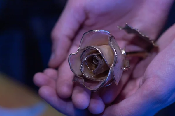 hands offering illuminated with a ceramic rose as an offering