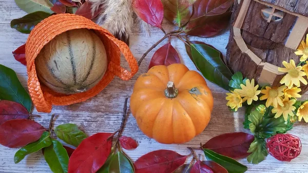 Kabak, sonbahar yaprakları ve küçük ahşap kabin