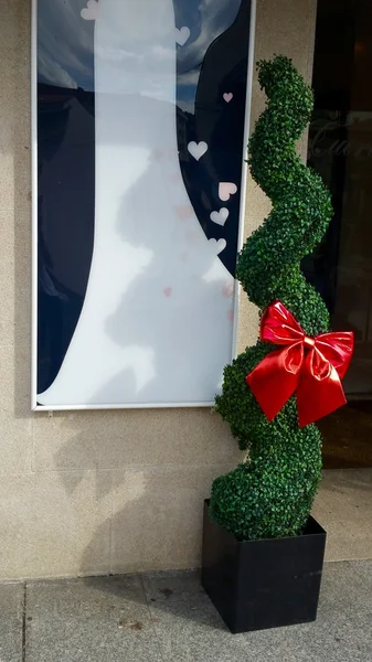 Büyük kırmızı yay ve gelinlik