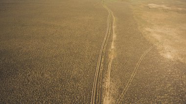 Üstten Görünüm drone yol yol kapalı tatlı vadi peyzaj araba lastikleri ile hava fotoğrafı. Güzel doğa ile kopya alanı reklam için