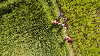 Bali, Endonezya. 22 Haziran 2016. Tanımlanamayan Balinese çocuklar grup kameranın çeltik pirinç alan içinde duran dalga