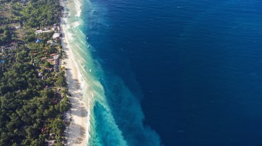 Üstten Görünüm hava dron fotoğraf renkli deniz plaj tropikal avuç içi ve yapraklı ağaçlar sallanan ile saçaklı kristal su ile çarpıcı.