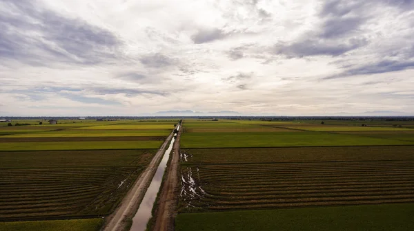 Luftbild von der fliegenden Drohne einer wunderschönen Naturlandschaft mit Ackerland und grünen Feldern in der Herbstsaison. — Stockfoto