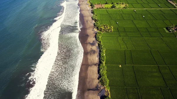 Vista do cockpit do avião de belos campos de arrozais aumentando em água semi-salgada ao longo da costa vulcânica na Ásia — Fotografia de Stock