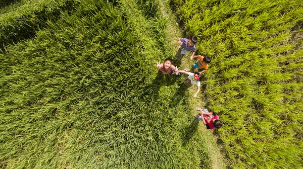 Bali, Indonesia. 22 de junio de 2016. El grupo de niños balineses no identificados está engañando a la cámara mientras está parado en el arrozal —  Fotos de Stock