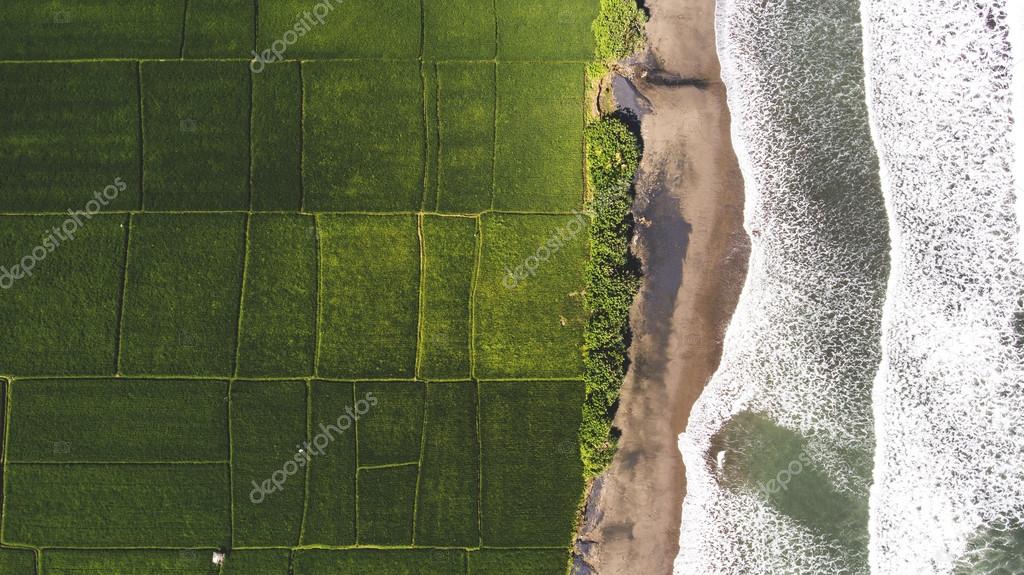 Top view aerial photo from flying drone of beautiful Asian island with green rice fields and amazing blue ocean with calm waves in sunny summer day.