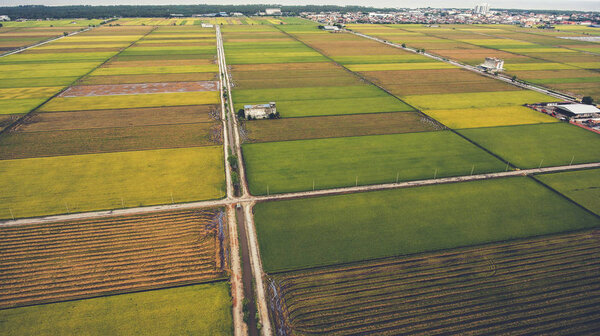 Природный ландшафт