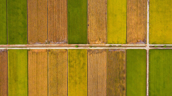 Природный ландшафт