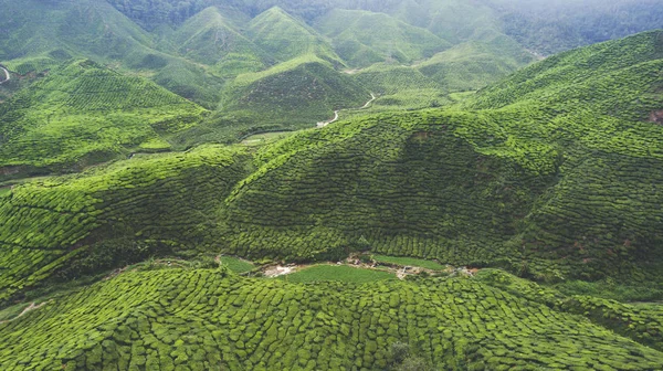 Beautiful landscape of a Malaysia — Stock Photo, Image