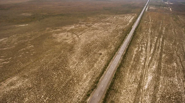 Asfalterad väg utan bilar i stäppen i Texas — Stockfoto