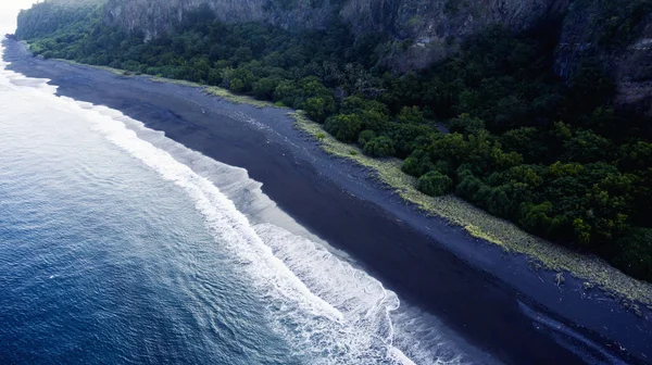 녹색 식물으로 화산 해변 — 스톡 사진