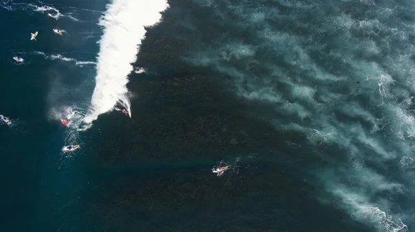 Grupo de surfistas procuram o oceano — Fotografia de Stock