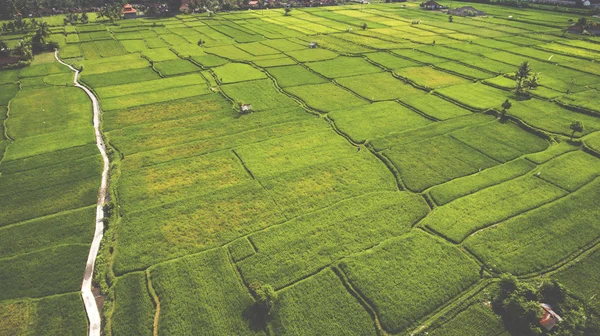 Bela paisagem da natureza — Fotografia de Stock