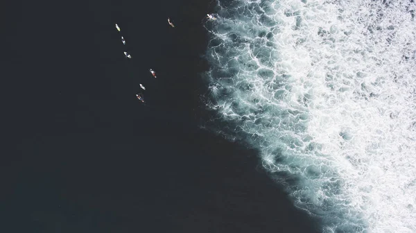 Gruppo di surfisti cercano l'oceano — Foto Stock